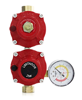 Regulador Industrial 12kg/h