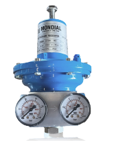 Regulador Industrial 100 kg/h GLP